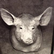 Brett Barfield's photo