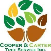 Foto von Cooper Carter