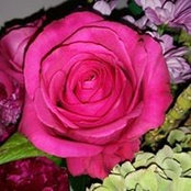 Aysegul Eker's photo