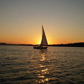 David Lee's photo