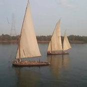 Radwa Alaa's photo