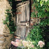 Janice Dopale's photo