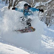 Lee Stevens's photo