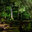 Turf Pro Professional Landscape Maintenance Inc.