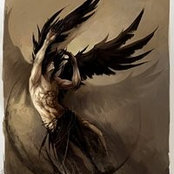 Tore Nilssen's photo