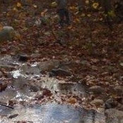 Reed Newhalls foto