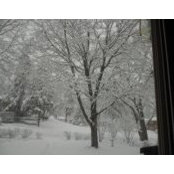 Kathy Blessing's photo