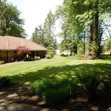 Auburn front yard