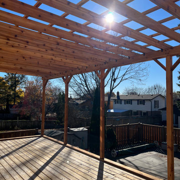 Cedar canopy and railings