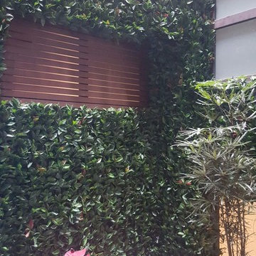 Outdoor Designs