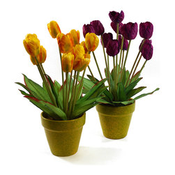 Shea's Wildflower - Tulips In Pots, Set Of 2 - Wreaths And Garlands