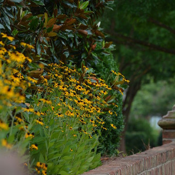 Randolph Park