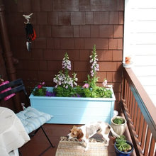 Oak Street