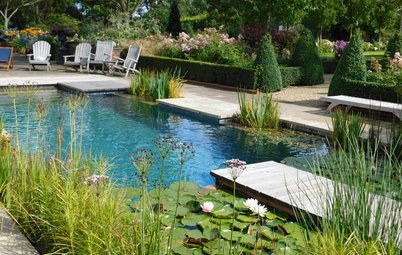 20 Ideas for Natural Swimming Pools