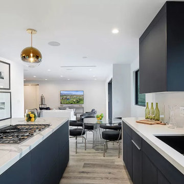 Hollywood Hills Major Remodel