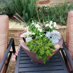 Landscaped Pots - Products
