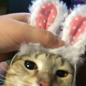 Coleen Finnegan's photo