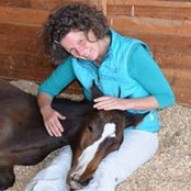 Sibylle Breiner's photo