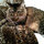 webuser_847970