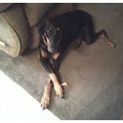 Joyce Polovischak's photo