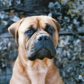 Roberta Prendergast's photo