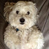 Marlena Petro's photo