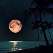Foto de Dee LaPointe
