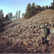 Brandon Wiz's photo