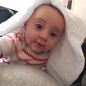 Matt Rooster's photo