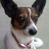 Abbie Onofrio-Macias's photo