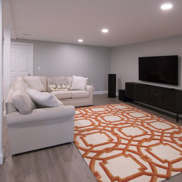 2019 Traditional Basement Entertainment Remodel