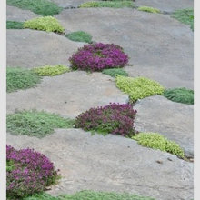 Denver Landscaping