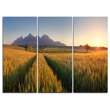 "Summer Wheat Fields Slovakia" Artwork Canvas, 3 Panels, 36"x28"