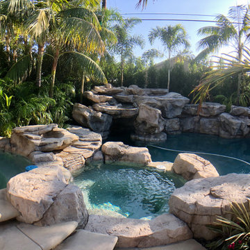 Backyard Tropical Landscape Renovation