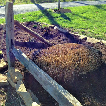 Spring Clean-up