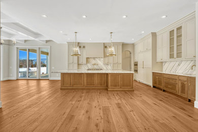 Inspiration for a kitchen remodel in DC Metro