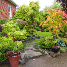 Japanese  Garden