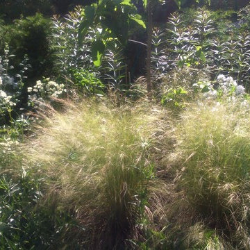 Princes Risborough Garden