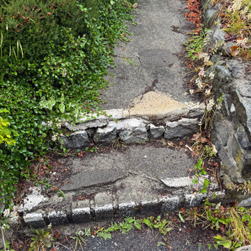 Concrete Step Restoration