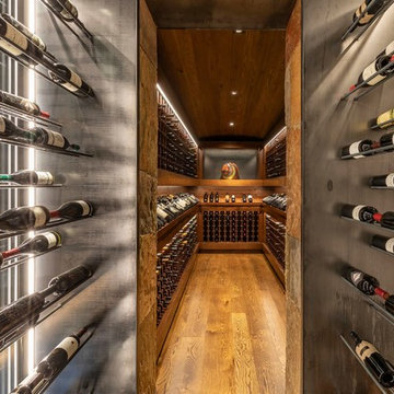 Telluride Residence