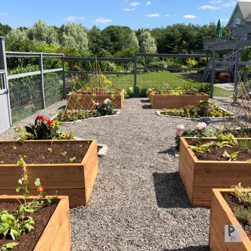 Vegetable Garden Installation
