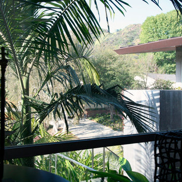 Hollywood Hills
