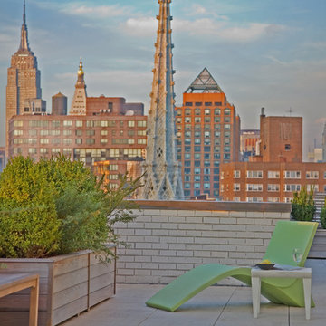 Manhattan contemporary rooftop