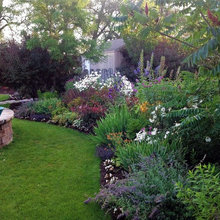 Landscaping ideas