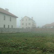 klenovaya