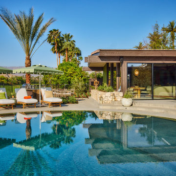Desert Oasis