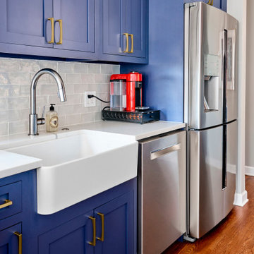 Condo Remodel - Lakeview West, Chicago, IL