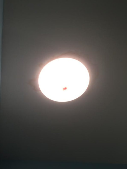 Bathroom Light Above Shower Appears to be Burning?