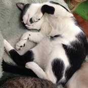 Mara Sobreiro's photo