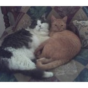 Denise Murphy's photo